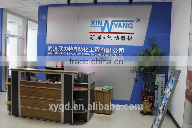 Stainless Steel Pneumatic Control Piston Angle Seat Valve