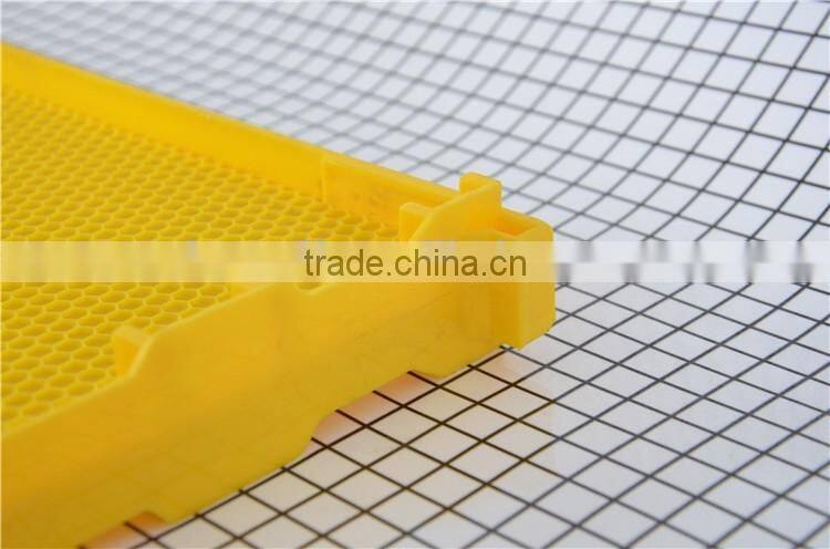 Plastic beehive frame withfoundation sheet