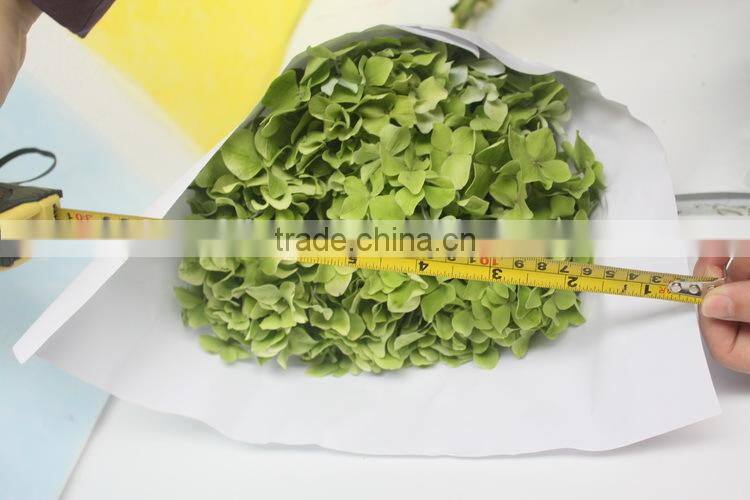 Fresh crazy selling fresh hydrangea export from china