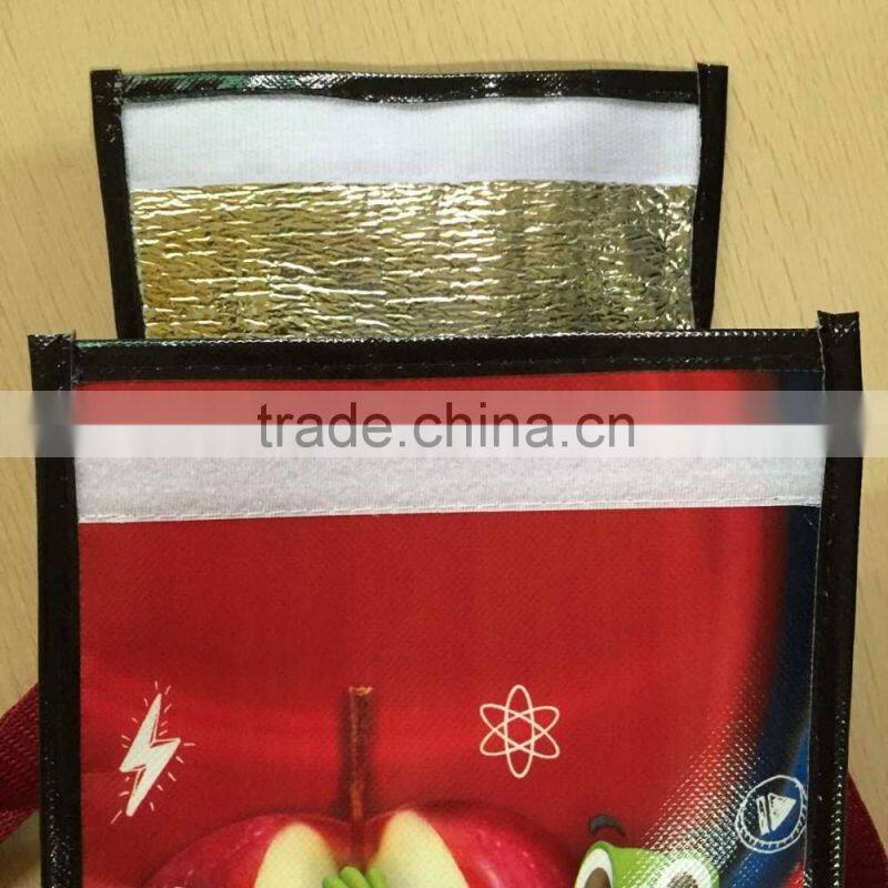 Factory Offer customized portable 420D polyester thermal insulated freezer bag