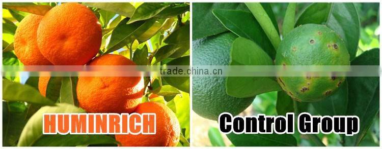 Huminrich Planting Base Best Fertilizer For Plants Chelation