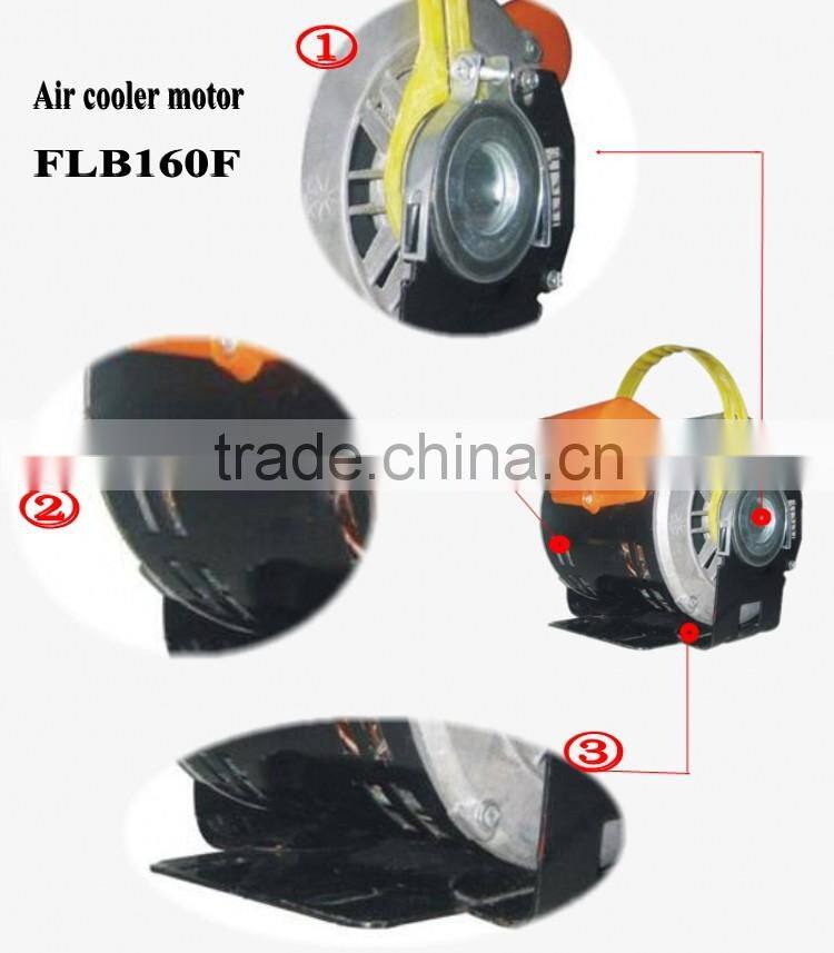 FLB160F Capacitor Start Single Phase AC Electric Motor