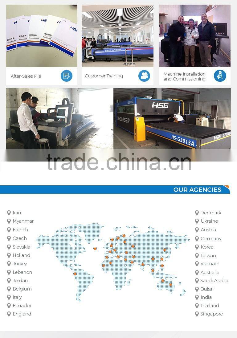 HSG Small-Scale Metal Laser Cutting Machine for sale HS-M3015C