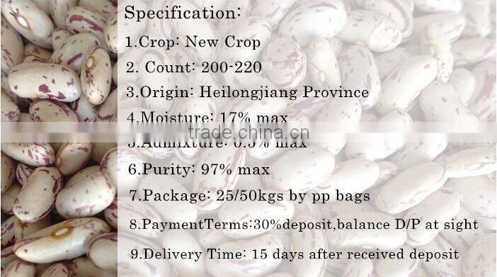 New crop light red speckled kidne y beans long shape bamboo bean for europe