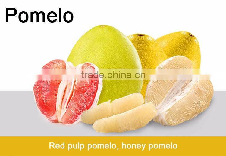Professional export local honey pomelo from guan-xi pomelo