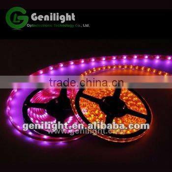 Silicon led strip