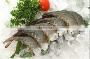Frozen vananmei Shrimp Penaeus Vannamei