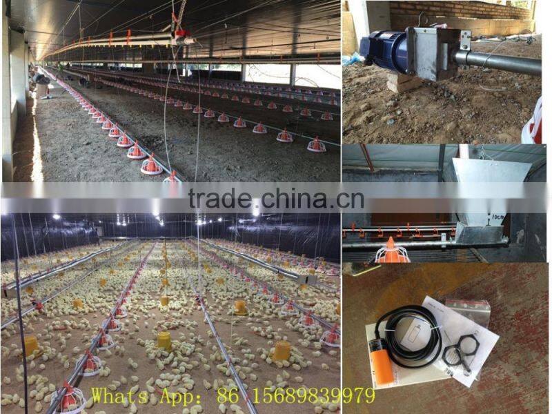 small chicken farm names for poultry equipment