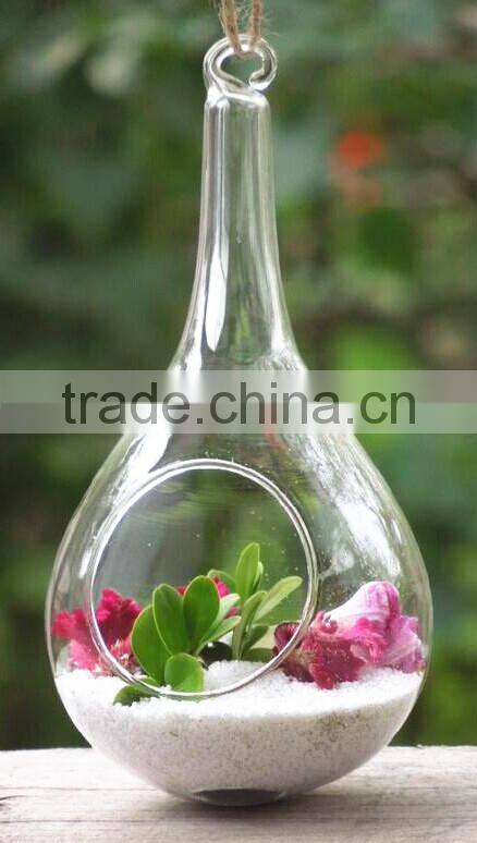 clear glass hanging plant ball High quality