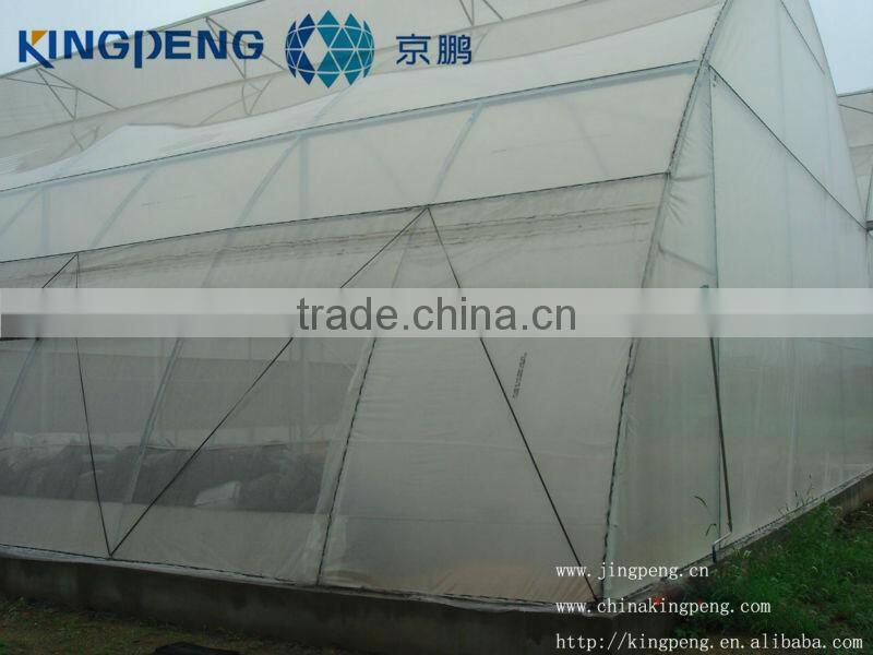 Commercial Plastic Film Greenhouse For Agriculture
