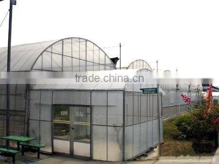 50*8m/100*8m Agricultural Plastic Tunnel Greenhouse