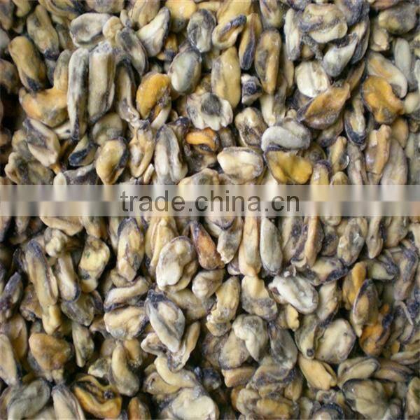frozen and cooked mussels in shell