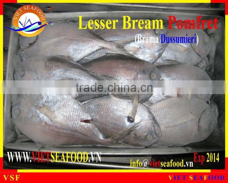 FROZEN LESSER BREAM POMFRET W/R