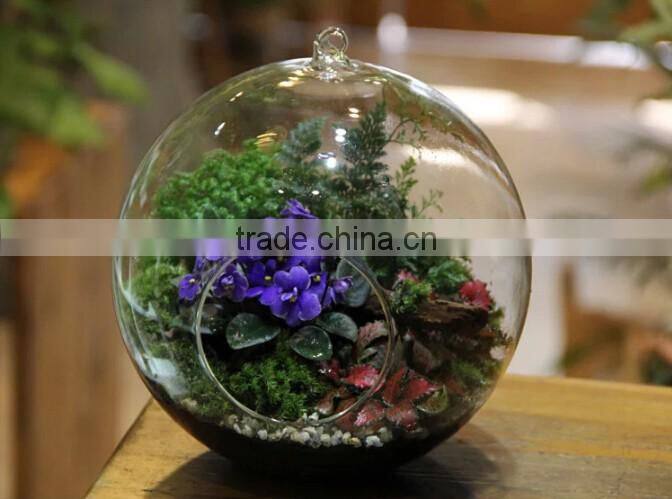 Modern Hanging Clear Round Crystal Glass Vase Flower Balls Terrarium Vases For Wedding Decoration Dia 8 cm