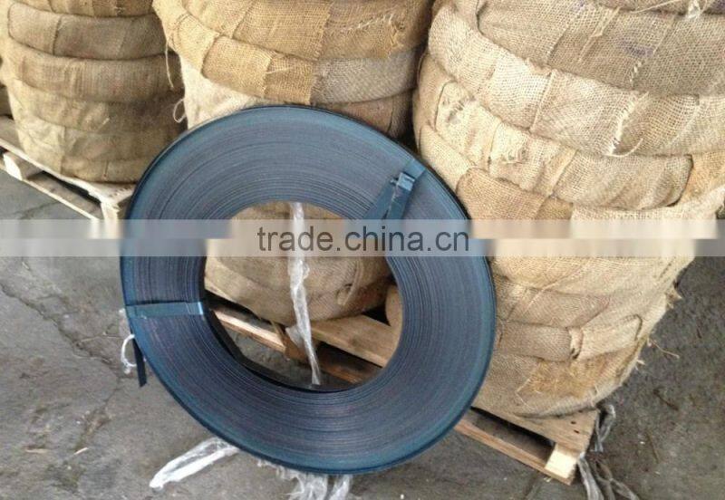 Steel Strip/Dark Blue Steel Strip/Strips in Price