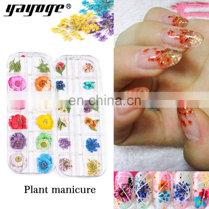 Dry Flower Nail Digit Nail And Smart Flower Printer