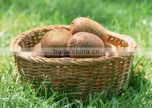 Lifelike Artifical Fruit For Decoration