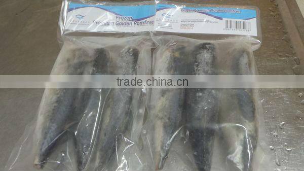100% net weight Frozen mackerel