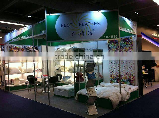 Buckwheat hull&feather pillow,white duck down pillow used for summer and winter