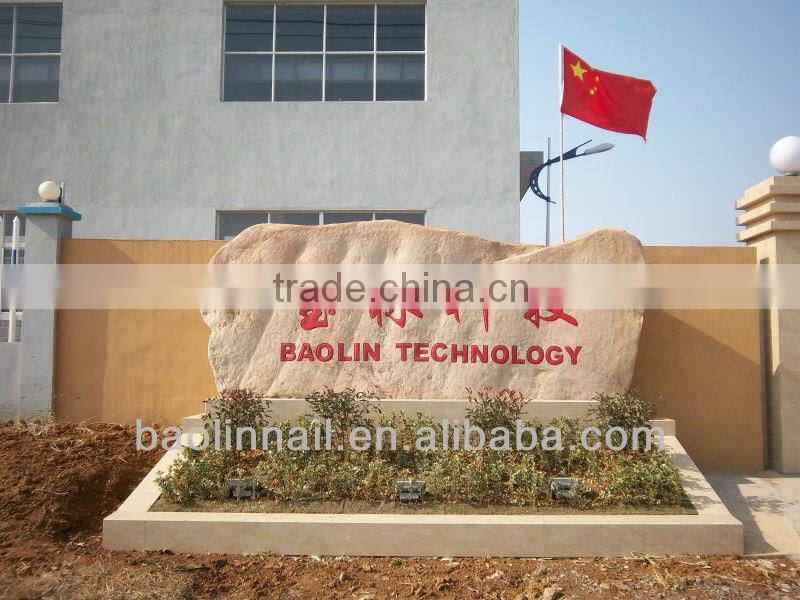 High Quality Automatic Coil Nail Making Machine