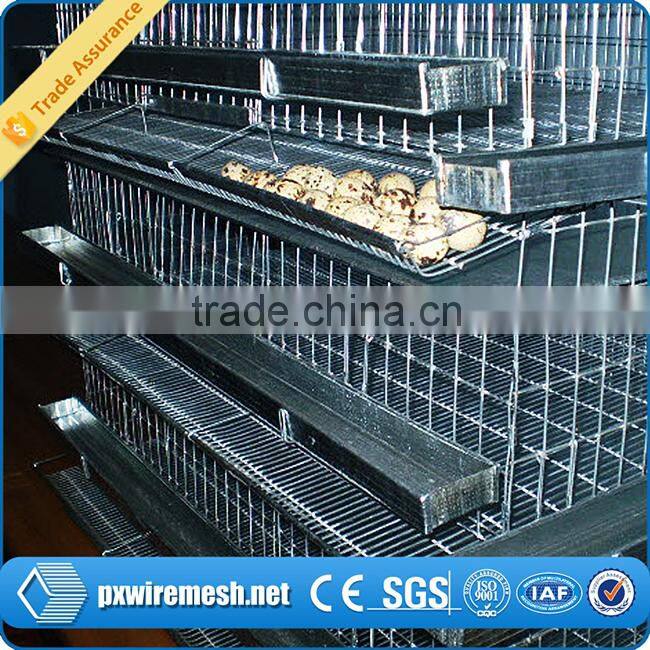 Sell well Quail cage design with high quality