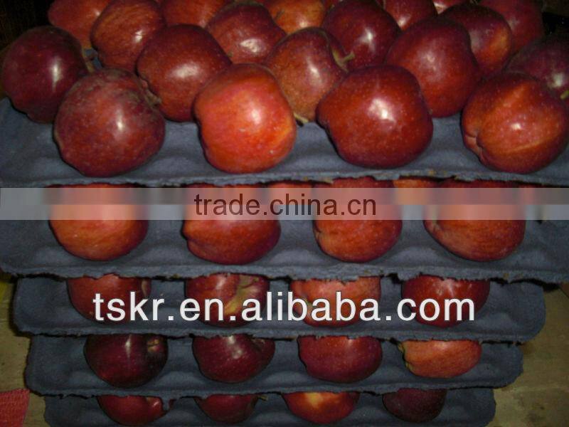 2013fresh appls from china
