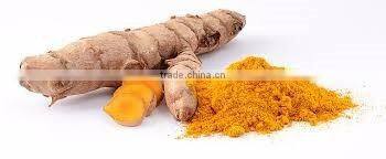 Organic fresh turmeric