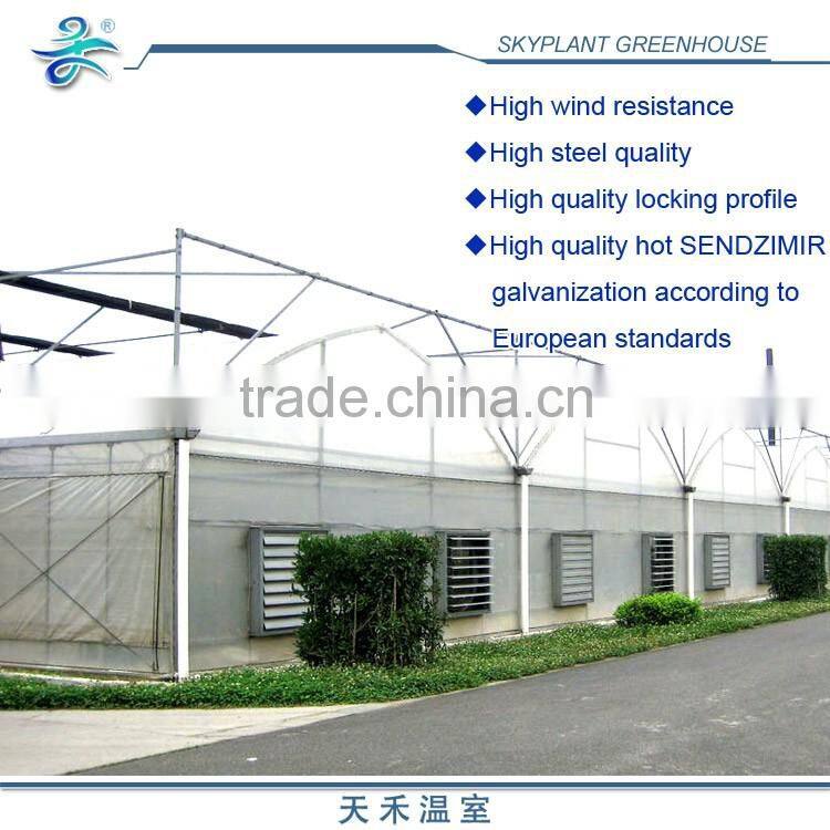 Large Multi Span Horticultural Plastic Green house