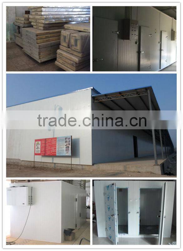 cold room storage room for meat/fish/vegetable can customize