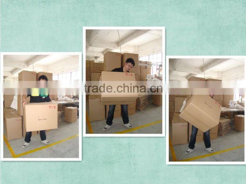 Curly Horn goat bust Skull wall hanging