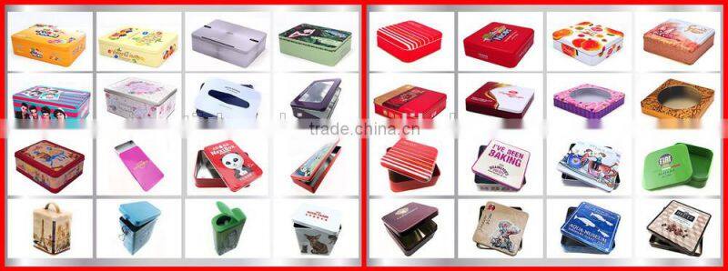 China Dragon Battery metal electrical tin boxes with window