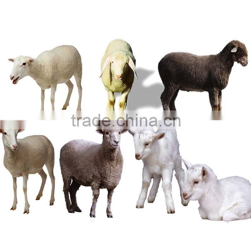 cheap farm slaughter house farm machinery agriculture equipment 10 Beef /Big Cattle, 30 hogs/Pig, or 50 Sheep/Goat per Day