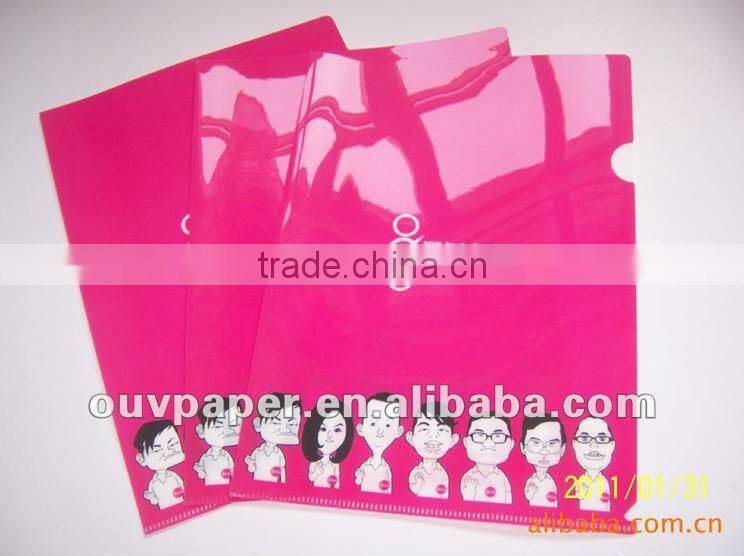 Colourful transparent L folder