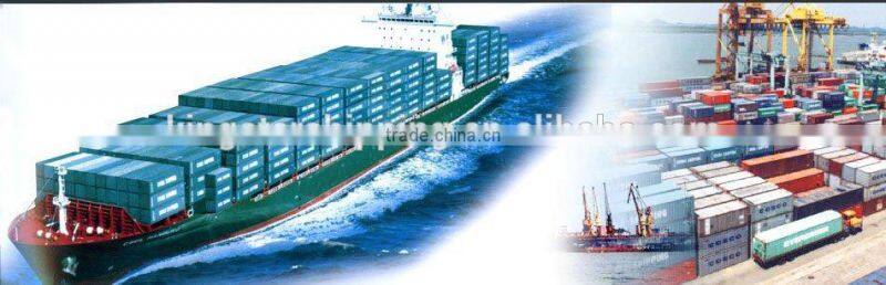 Newest Promotional sea freight shipping from china to Ghazaouet Algeria