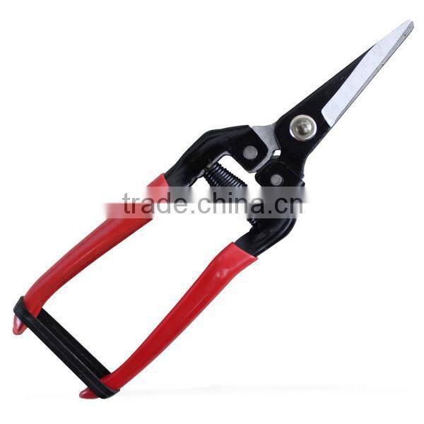 fruit picker harvest grape scissors pruning shears