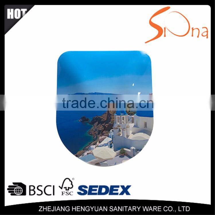 Customized 18 inch UF soft close wc toilet seat