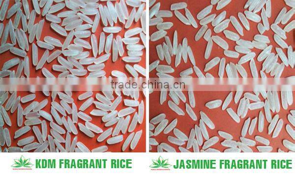 BEST JAPONICA ROUND RICE <5% BOKEN> - CHEAPEST PRICE_HIGH QUALITY - CURRENT RICE