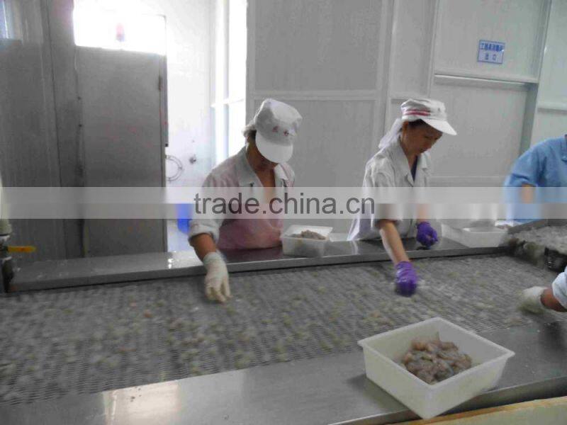 Frozen vannamei white Shrim