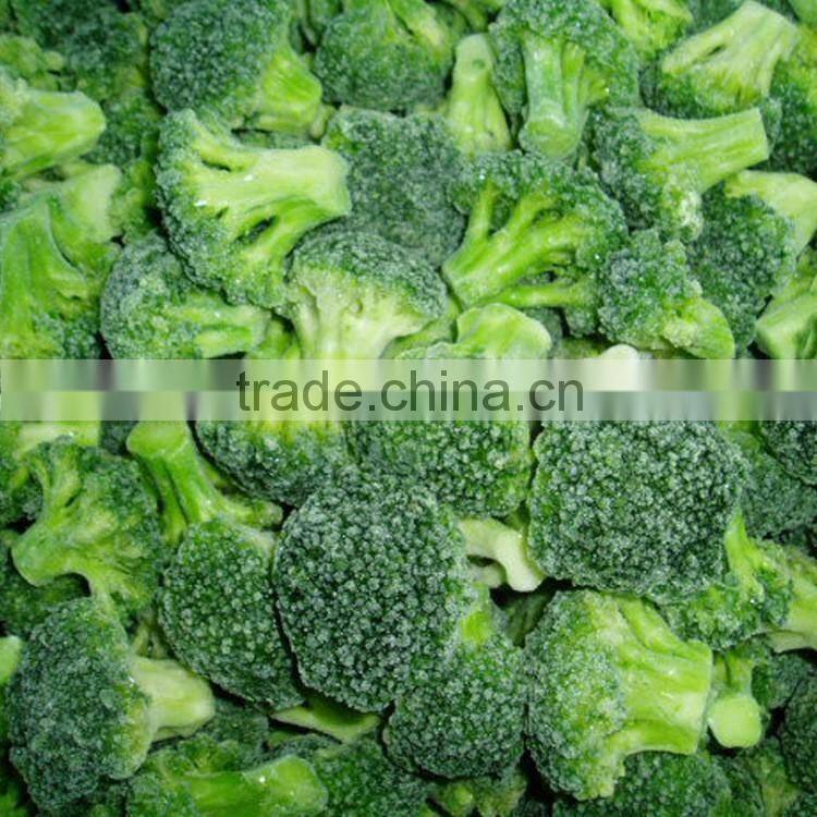 Frozen Broccoli Exporter