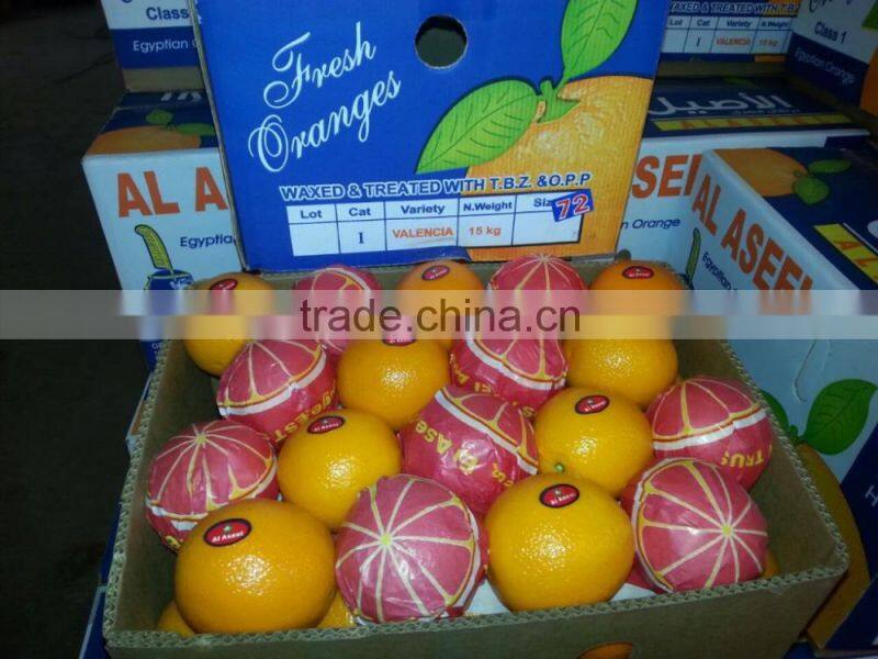 Golden Fresh Citrus Navel And Valencia ORANGE