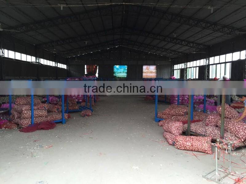 Pure white garlic (snow white garlic, super white garlic)