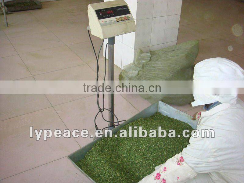 exporting dehydrated spinach powder