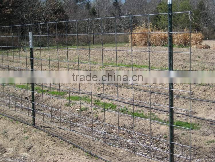 Bitumen Painted Green Color Studded T Post