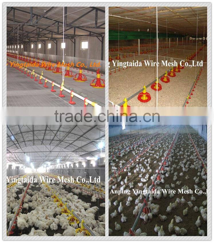 standardized chicken/broiler shed equipment producers
