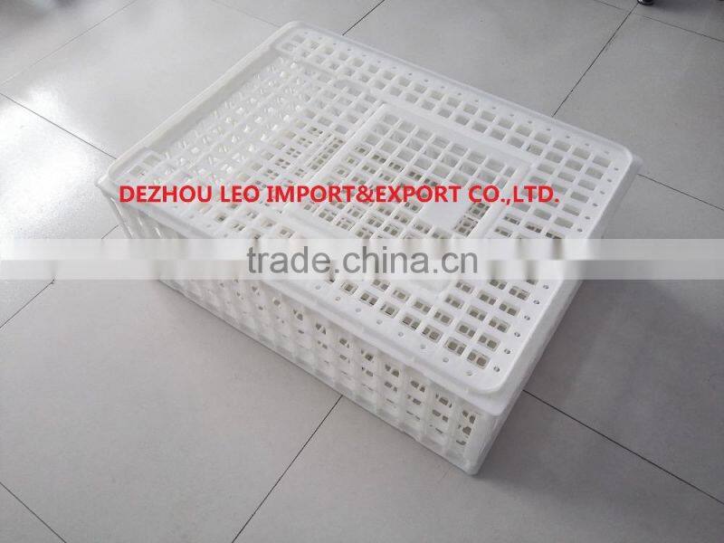 foldable plastic crate for chicken for sale