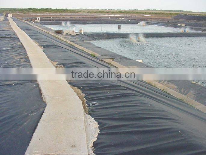HDPE Geomembrane