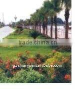 Four-arm rotating micro irrigation nozzle