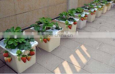 High Temperature Resistance Plastic Beige Dutch Bucket