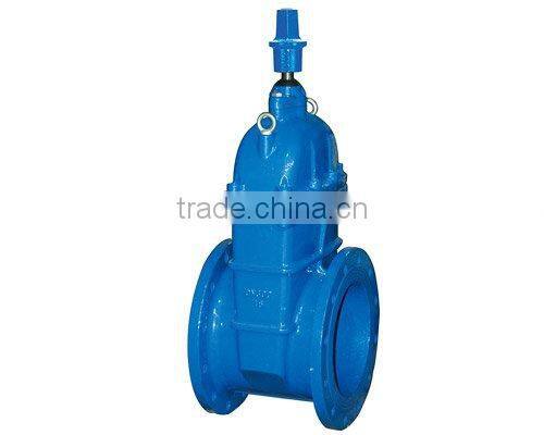 gate valve