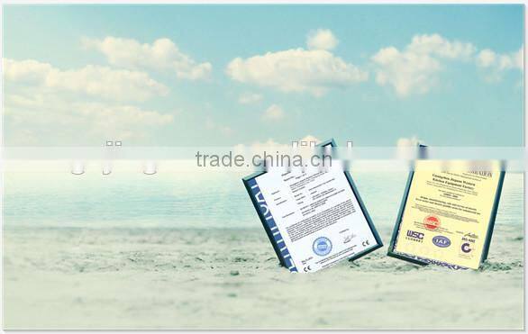 High quality Electric Fryer with CE Aproval (DF-12L)